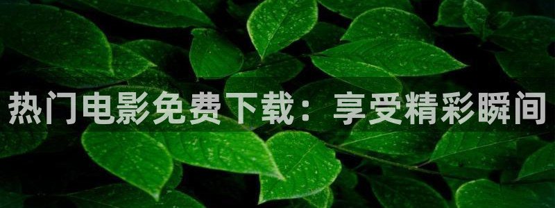 神马午夜久久影院：热门电影免费下载：享受精彩瞬间