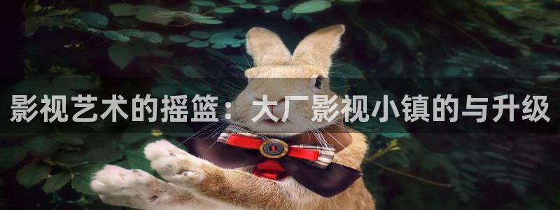 久久午夜免费电影：影视艺术的摇篮：大厂影视小镇的与升级