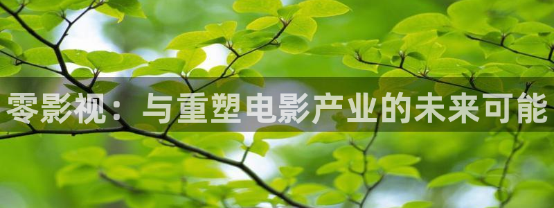 久久影院最新地址：零影视：与重塑电影产业的未来可能
