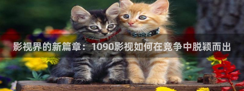 av影院久久影院：影视界的新篇章：1090影视如何在竞争中脱颖而出