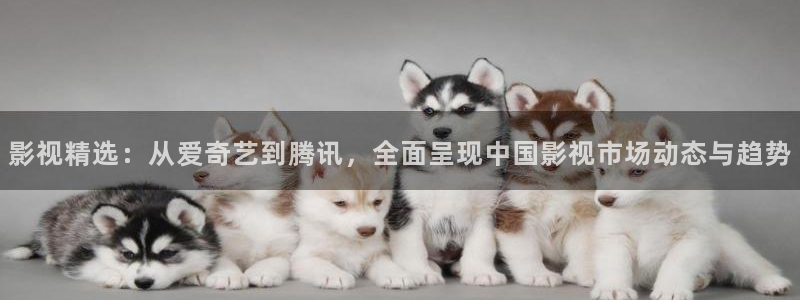 国产老妇高清久久：影视精选：从爱奇艺到腾讯，全面呈现中国影视市场动态与趋势