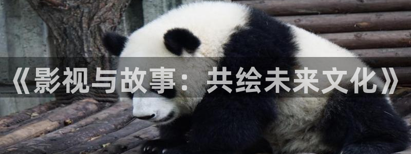 国产日韩久久久久精品影院多少集：《影视与故事：共绘未来文化》