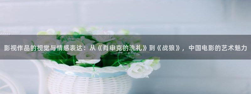 久久久久午夜影院：影视作品的视觉与情感表达：从《肖申克的洗礼》到《战狼》，中国电影的艺术魅力